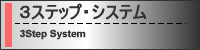 ３ステップ・システム